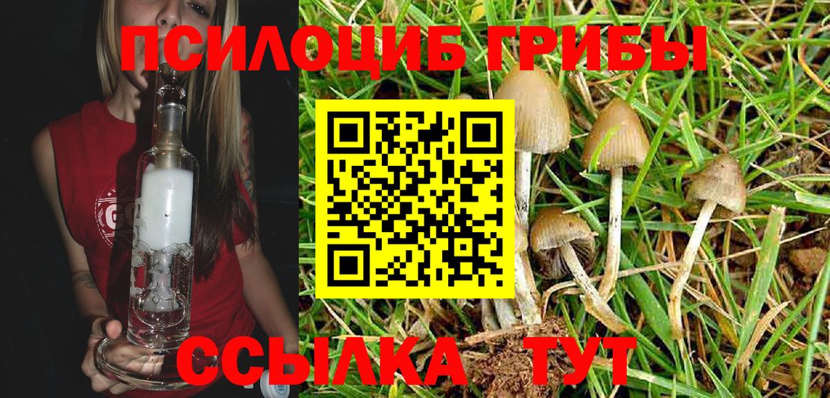 купить   Благодарный  Галлюциногенные грибы ЛСД 