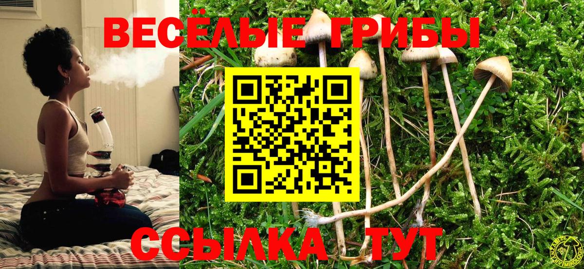 Псилоцибиновые грибы мухоморы Благодарный