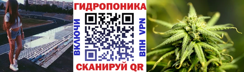 Конопля конопля  где найти наркотики  мега   Благодарный 
